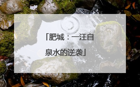 肥城：一汪自泉水的逆袭